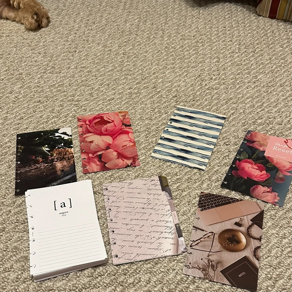 Jane’s Agenda Mini Discbound Dashboards,Dividers, Etsy Weekly Planner Aug-June